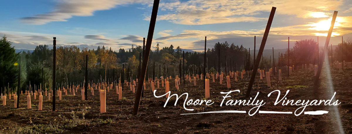 Moore Family Vineyards