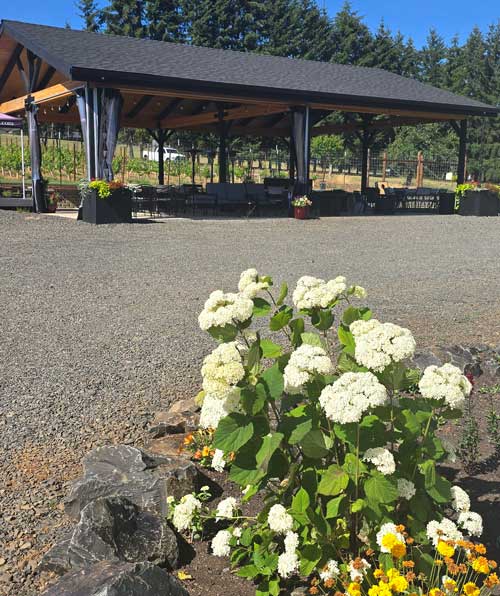 Flower garden in front of covered pavilion at Moore Family Vineyards in Sweet Home, Oregon