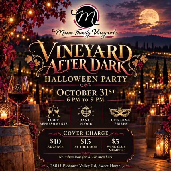 Vineyard after dark